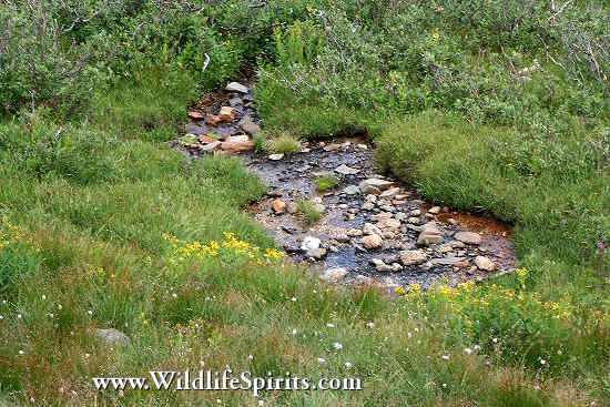 Click Picture to send as an  E-PostCard 64k 550x367
